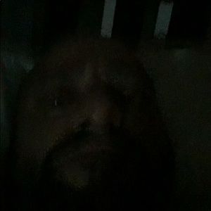 Meet your Posher, Maxximo